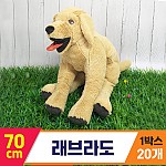 baddog