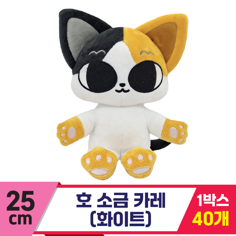 [DT]25cm 호 소금 카레(화이트)