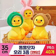 [GG]35cm 동물모자 오리 3종