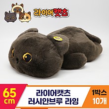 [GG]65cm 라이어캣츠 러시안브루 라잉<10>