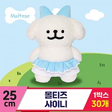 [DT]25cm 몰티즈 샤이니
