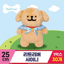 [DT]25cm 리트리버 샤이니